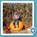 Pumpkin Farm_1