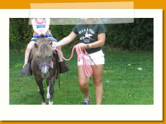 Summer Camp Horse 10
