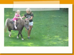 Summer Camp Horse 11