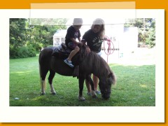 Summer Camp Horse 7