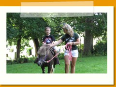 Summer Camp Horse 8