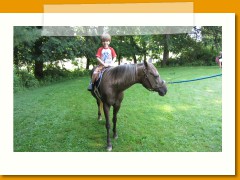 Summer Camp Horse 9